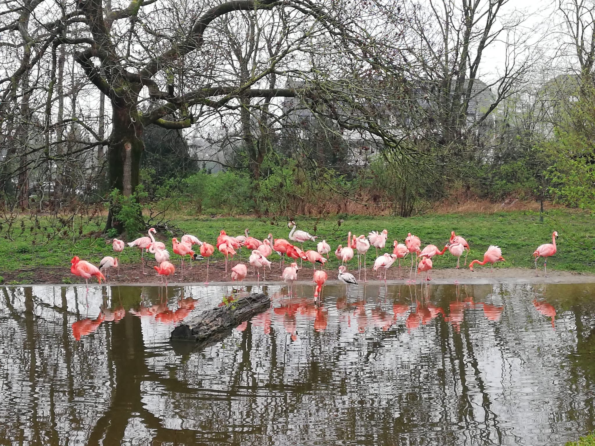 Ausflug der DS-Klasse in den Zoo